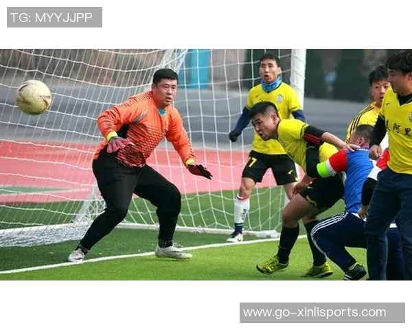 足球金成：探索足球运动的魅力与未来发展之路